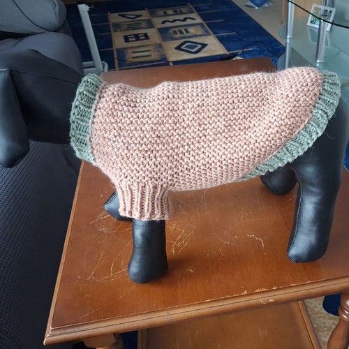 Hundepullover xs m - hundepullover,