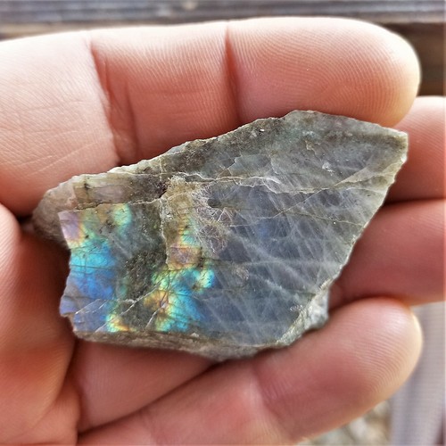 Klein aber fein multicolor - klein,
