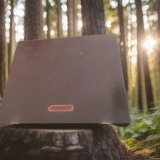 Leere Münzschatulle aus Holz