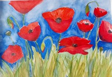 Aquarell Bild "Mohnblumen" Original 30 x 40 cm