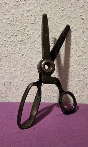 Antike zackenschere schneider - antike,