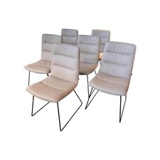 KFF 6er Set Stuhl Arva Light Leder Belo Horizonte Steingrau 1651 