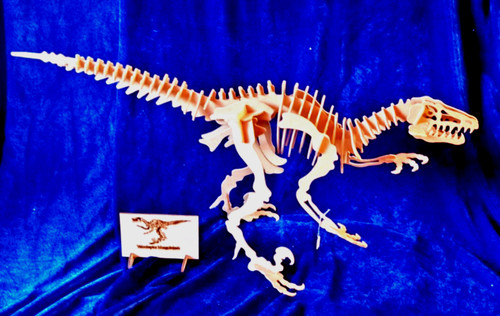 Dino 80cm puzzle - ,