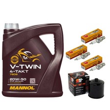 4L Inspektion Öl Set