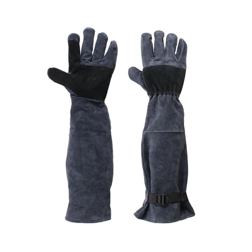 Against scratch pet - scratch,