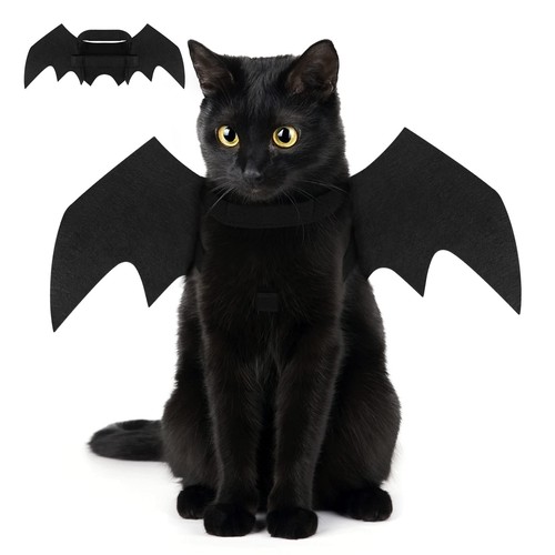 Fledermaus kostüm hund katze - fledermaus,