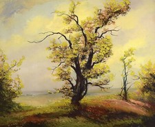 Karl Philipp Spitzer