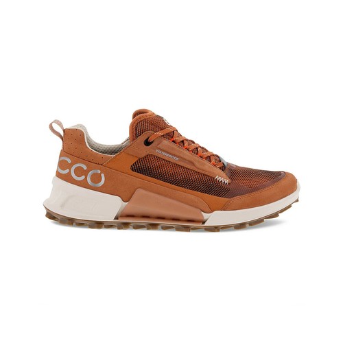 Ecco biom mountain - ecco,