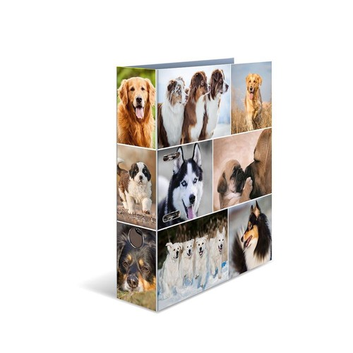 Ordner hunde cm breit - a4,
