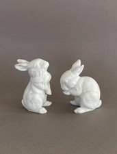 2 Kaiser Hasen Kaninchen