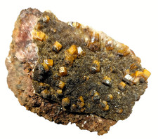 Wulfenit xx und Descloiziz xx von Los Lamentos Chihuahua  Mexiko