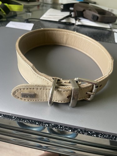 Hundehalsband leder hersteller - hundehalsband,