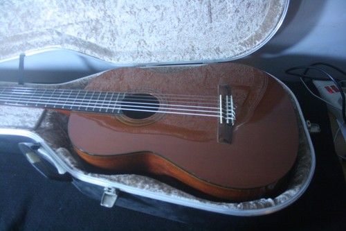 Valencia custom cg30r - valencia,