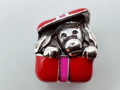 Charm silber 925 - charm,