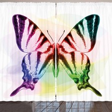 Schwalbenschwanz Schmetterling