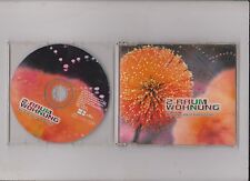 Single CD  2-Raum Wohnung - Wir trafen uns in einem Garten 4.Tracks  