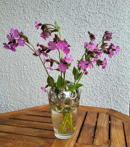 Blumensteckkugel ikebana - blumensteckkugel,