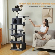 PAWZ Road Kratzbaum XXL Große