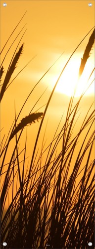 Wandbilder poster bilder xxl - poster,