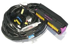 Landirenzo Landi Renzo Omegas