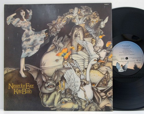 Kate bush never - ,