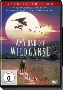 Amy und die wildgänse - wildgänse,