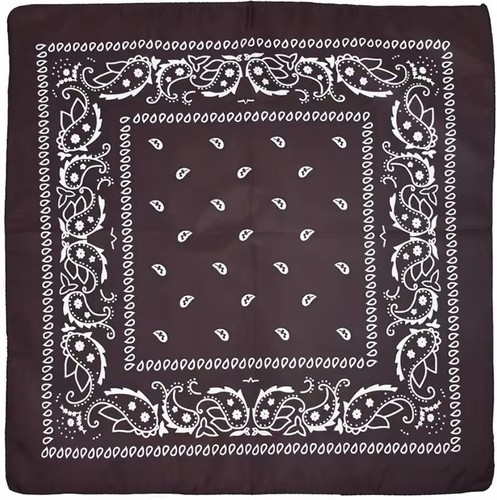 Bandana paisley halstuch biker - halstuch,
