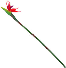 Künstliche Strelitzia Reginae