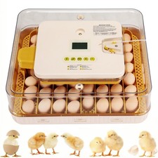 Inkubator Brutautomat 12-56