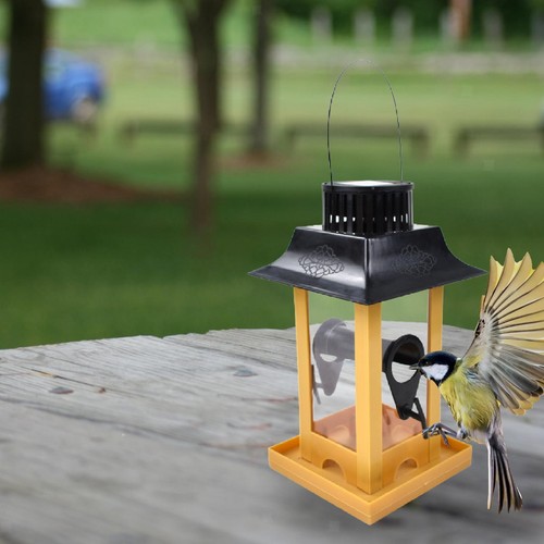 Solar bird feeder - feeder,