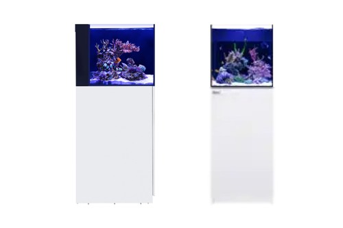Red sea desktop cube - red, /