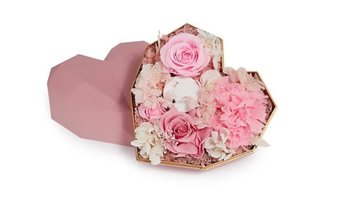 Lumida flora ewige - ewige, rosen