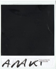 Araki nobuyoshi original - araki,