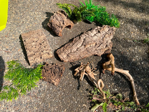Terrarium deko kork 4x - terrarium,