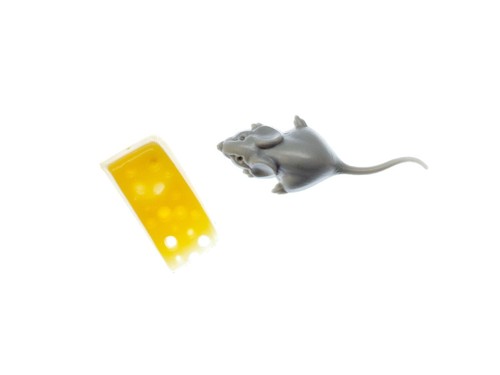 Ratte käse ohrstecker - käse,