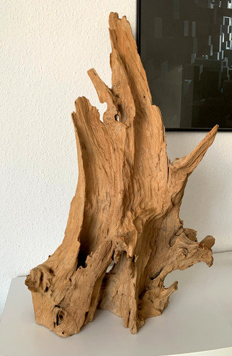 Wurzelholz teakholz teak - -,