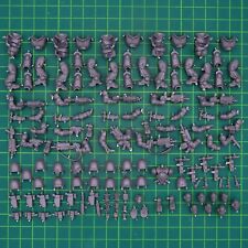 Primaris Intercessors Space