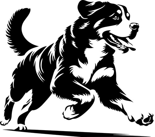Berner sennenhund aufkleber - berner,