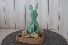 Osterhase | Hase | Häschen |