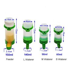 Vogel Watered Im Käfig