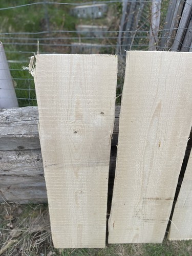 Bohlen bretter massiv holz - bohlen,