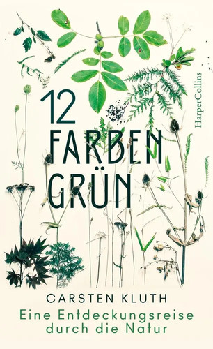 Farben grün eine - farben,