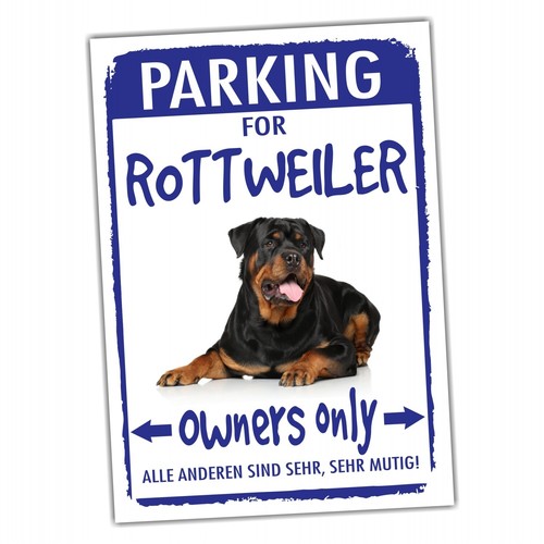 Rottweiler rottie rott - rottweiler,