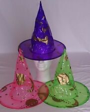 Hexenhut transparent Hexe Hut