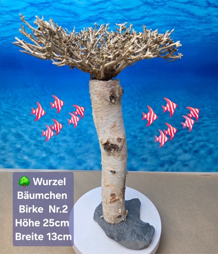 Aquarium scaping holz - aquarium,
