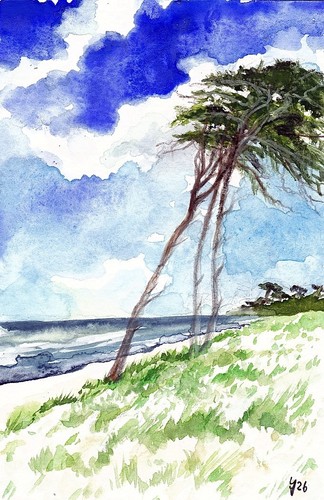 Windflüchter weststrand - weststrand,