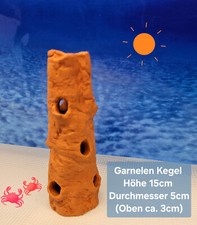 👩‍🎨 Aqua Art ⭐️