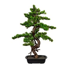 Kunstpflanze Bonsai Myrte