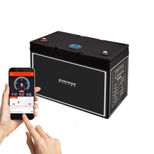 24V 50Ah LiFePO4 Akku BMS +