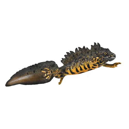 Collecta great crested newt - crested,